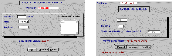 wpe2C.gif (10210 octets)